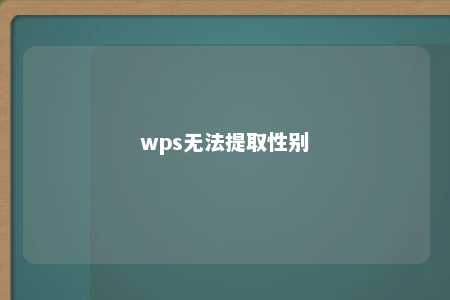 wps无法提取性别