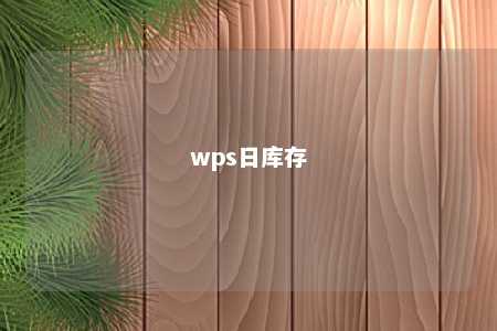 wps日库存 