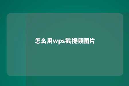 怎么用wps截视频图片 