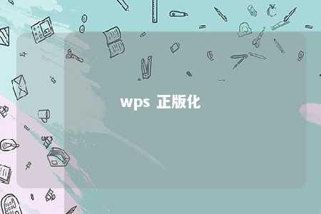 wps 正版化 