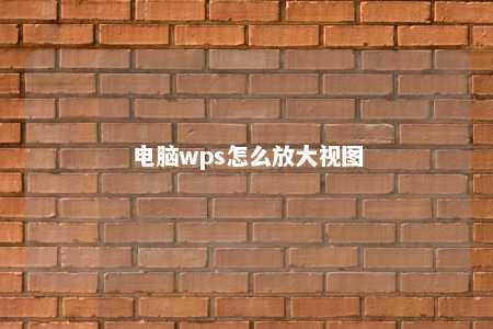 电脑wps怎么放大视图 