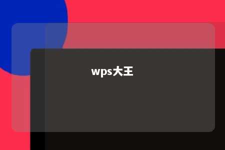 wps大王 