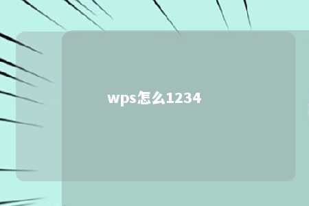 wps怎么1234 