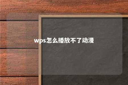 wps怎么播放不了动漫 