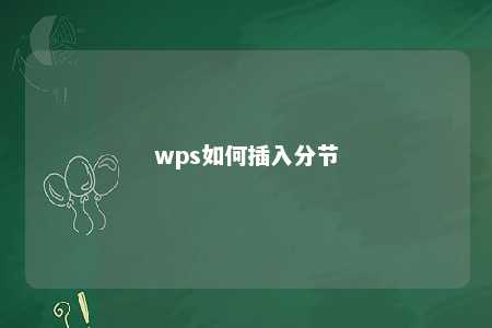 wps如何插入分节 