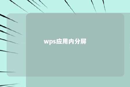 wps应用内分屏 