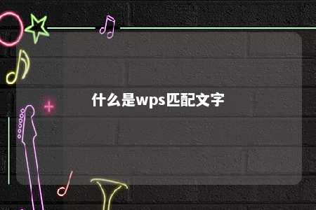 什么是wps匹配文字 