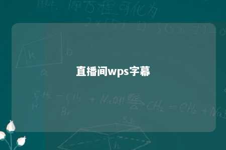 直播间wps字幕 