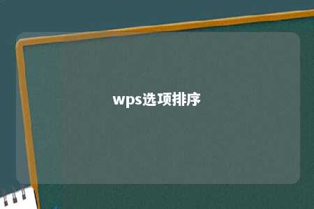 wps选项排序 