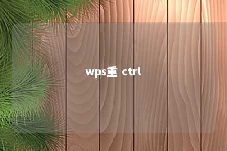 wps重 ctrl 