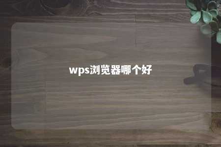 wps浏览器哪个好 