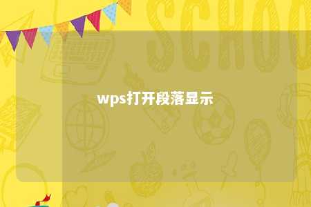 wps打开段落显示 