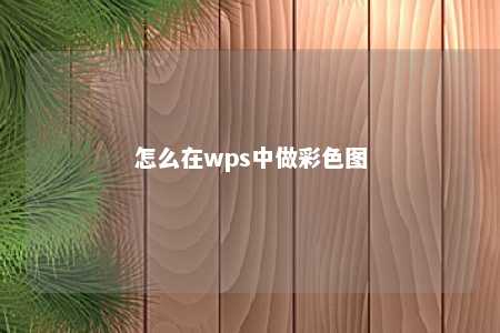 怎么在wps中做彩色图 