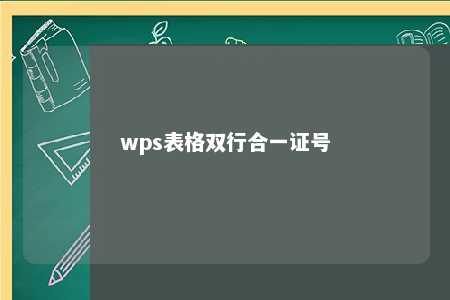 wps表格双行合一证号 