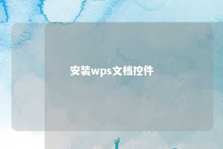 安装wps文档控件