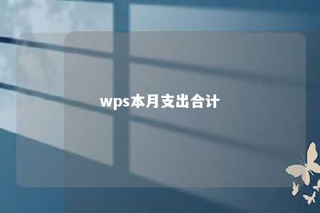 wps本月支出合计