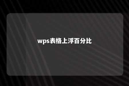 wps表格上浮百分比 