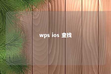 wps ios 查找 