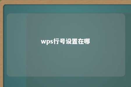 wps行号设置在哪 