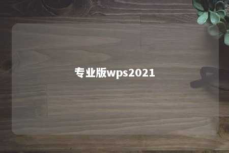 专业版wps2021