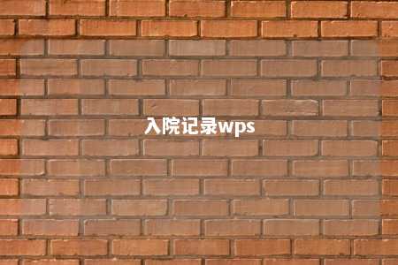 入院记录wps 