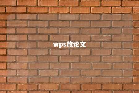 wps放论文 