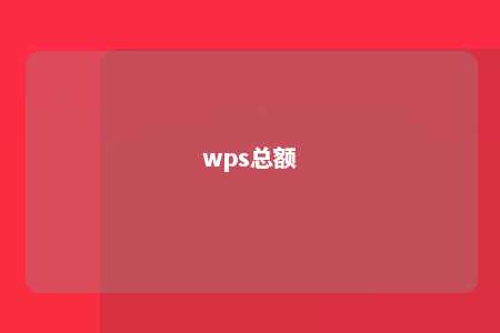 wps总额 