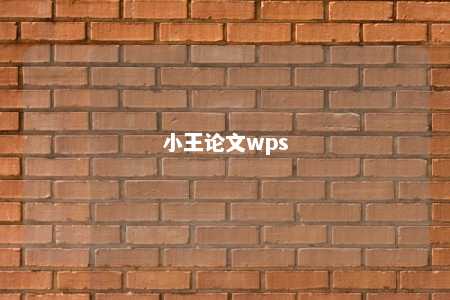 小王论文wps 