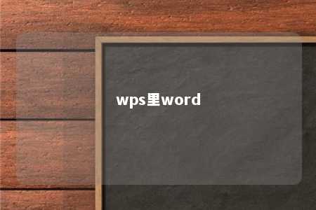 wps里word