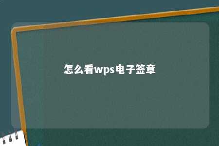 怎么看wps电子签章 