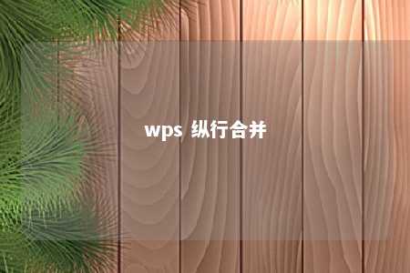 wps 纵行合并