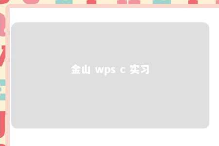 金山 wps c 实习 