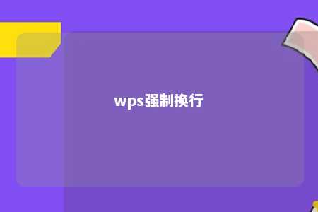 wps强制换行