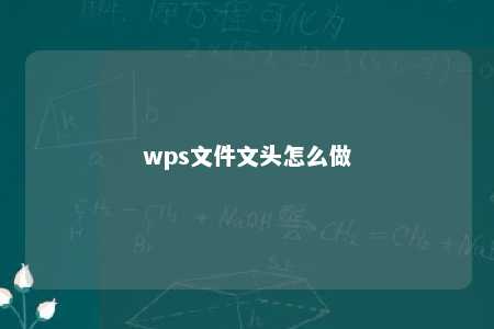 wps文件文头怎么做 