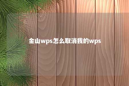 金山wps怎么取消我的wps 