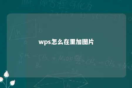 wps怎么在里加图片 