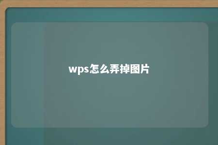 wps怎么弄掉图片 