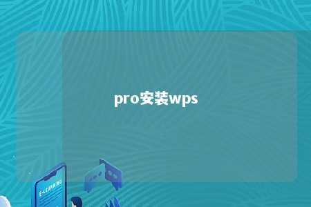 pro安装wps 