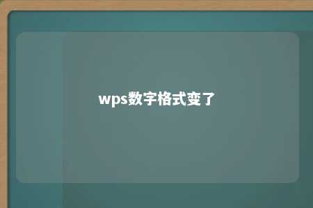 wps数字格式变了