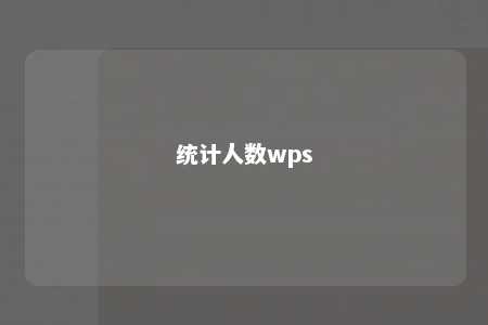 统计人数wps 