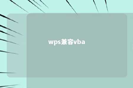 wps兼容vba