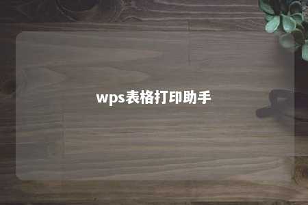 wps表格打印助手 