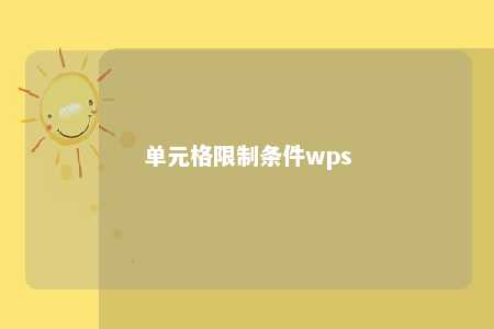 单元格限制条件wps 