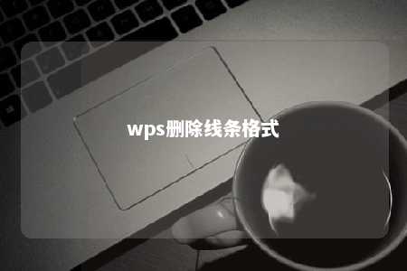 wps删除线条格式 