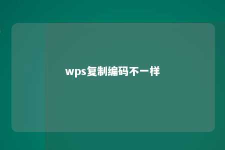 wps复制编码不一样