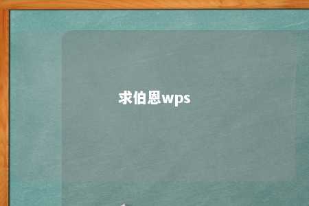 求伯恩wps