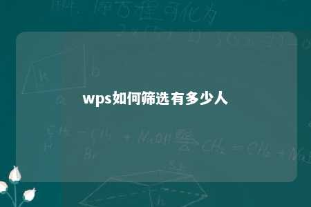 wps如何筛选有多少人 