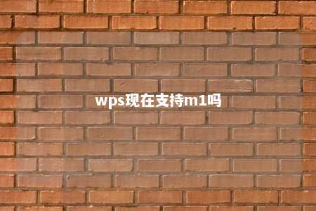 wps现在支持m1吗 