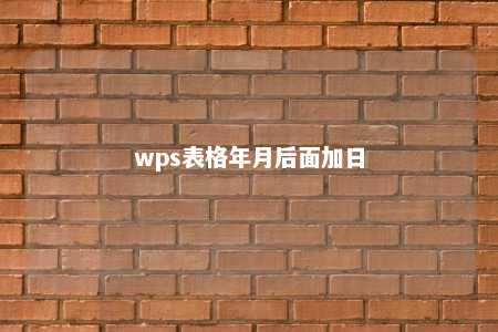 wps表格年月后面加日 