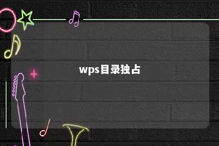 wps目录独占